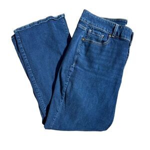 LANE BRYANT Double Button Dark Wash Straight Jean Size 20S